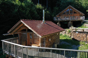 Schwarzwald Romantikhütte *kuschelig *einzigartig
